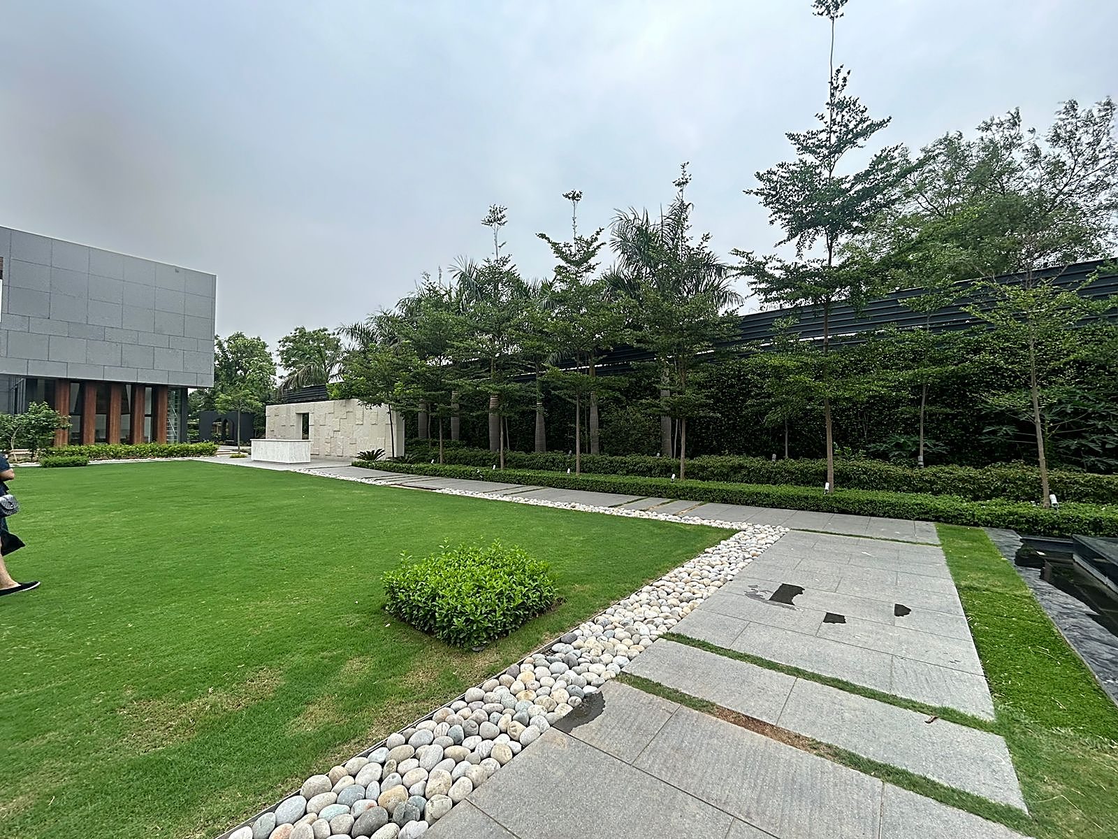 Designed landscape with structured lawn and planting